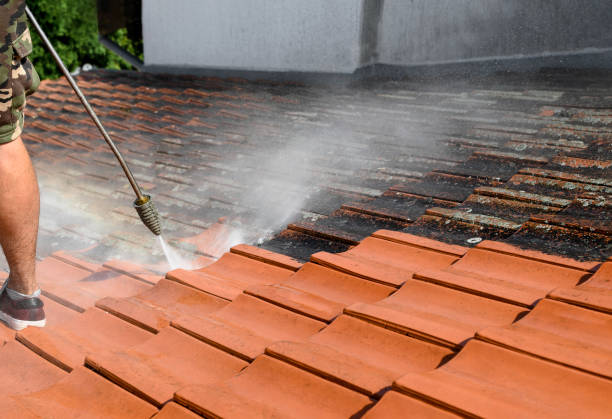 Why Choose Our Certified Pressure Washing Experts for Your Project Needs in Tice, FL?