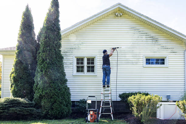 Best Affordable Power Washing  in Tice, FL