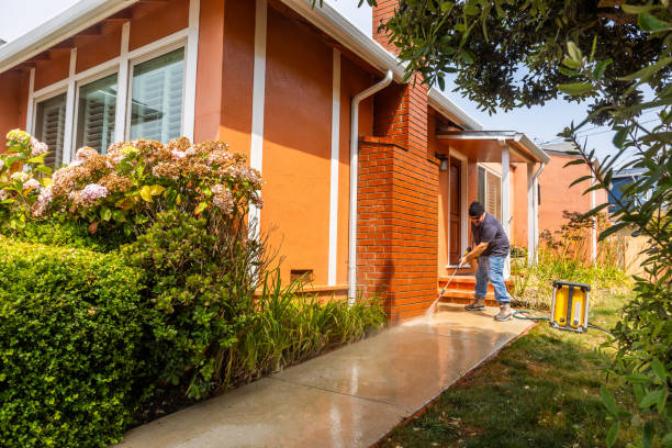 Best Best Pressure Washing Companies  in Tice, FL