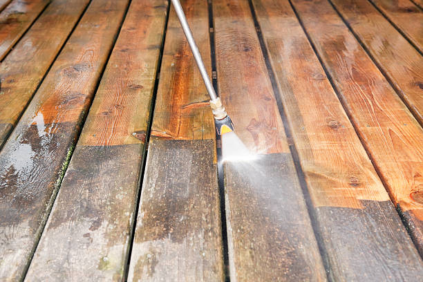 Best Residential Pressure Washing Services  in Tice, FL