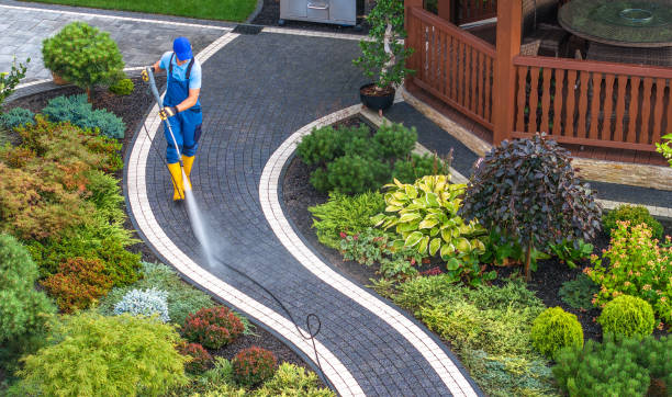 Best Sidewalk Pressure Washing  in Tice, FL