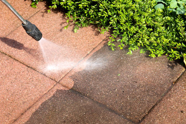 Best Residential Pressure Washing Services  in Tice, FL